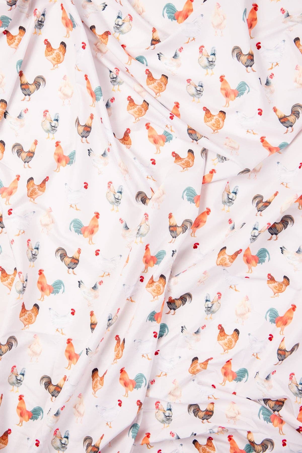 Chicken Twin Bed Sheet Set